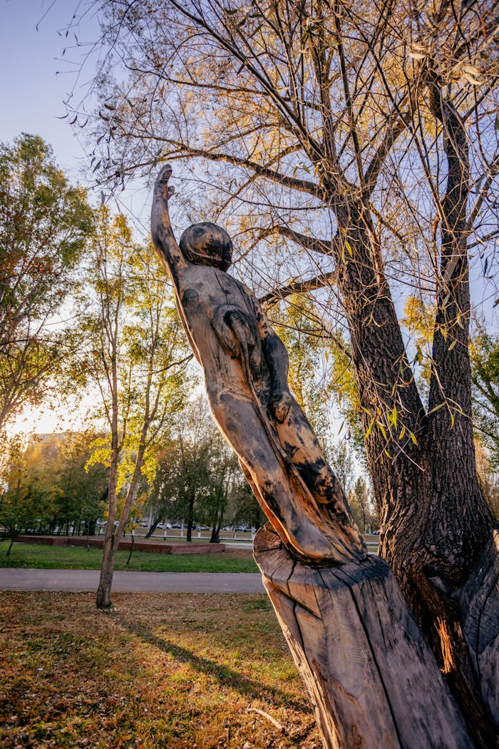 Beautiful wooden sculpture of a person reaching up, set in a serene autumn park.